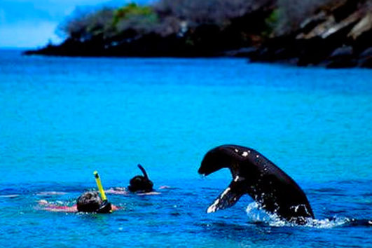 tour galapagos navegavel feat