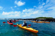Kayaking en Puerto Villamil