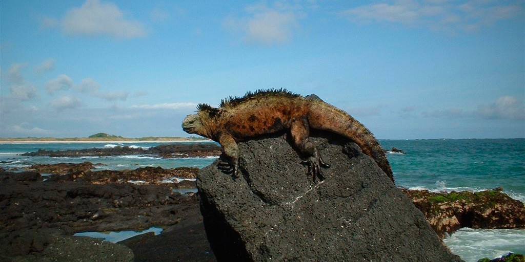 Lugares Turisticos de Galapagos