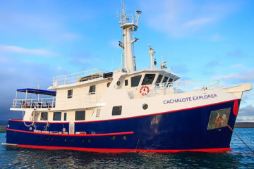 Cachalote Crucero Galapagos