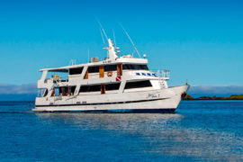 Crucero de buceo Galápagos
