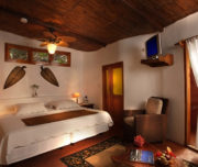 Red Mangrove Galapagos Suites