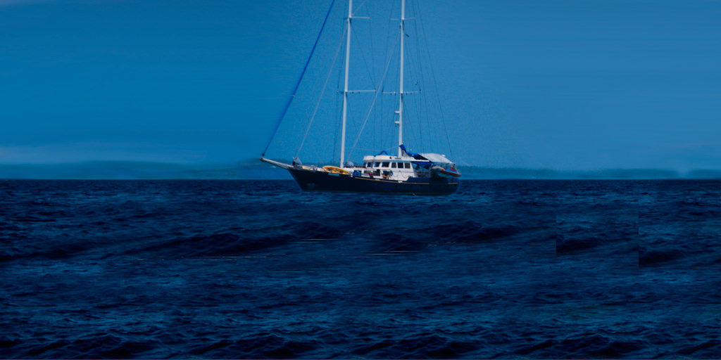 Beagle Crucero Galápagos