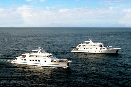 Coral Crucero Galápagos