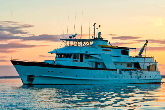 Galápagos Beluga Crucero