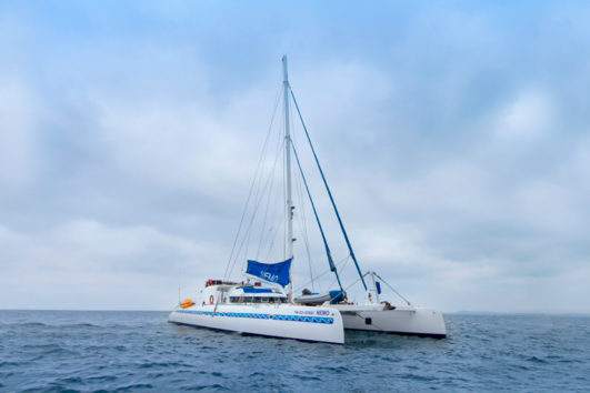 Nemo Crucero Galápagos