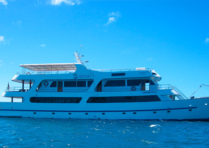 Odyssey Crucero Galápagos