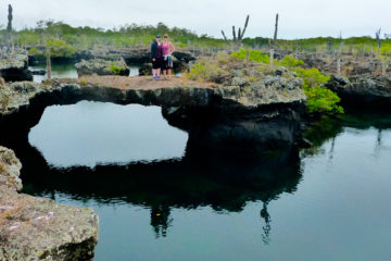 Ofertas Galápagos