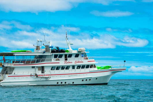 Reina Silvia Crucero Galápagos