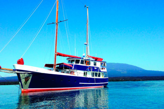 Samba Crucero Galápagos