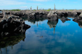 Tour islas Galápagos