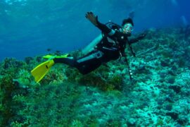 Tour diario de buceo islas galápagos