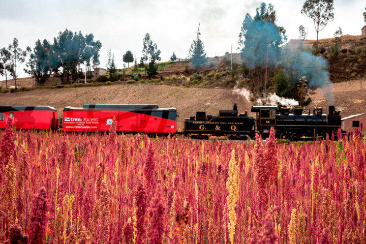 Tren Crucero Guayaquil Quito