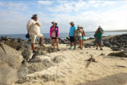 Tour Isla Española Galapagos guia