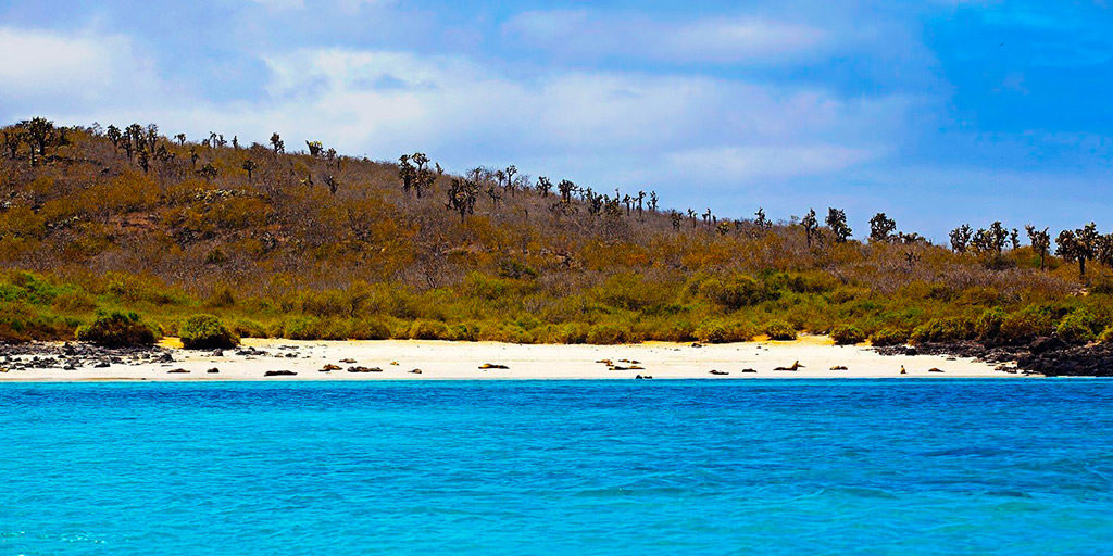 Isla Santa Fe Galapagos