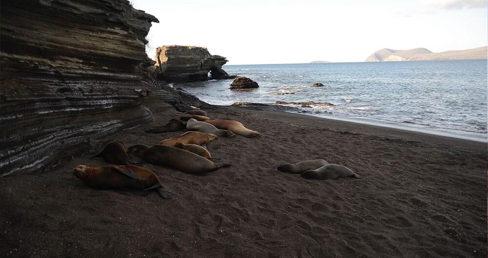 sitios a visitar en 10 dias en ecuador galápagos