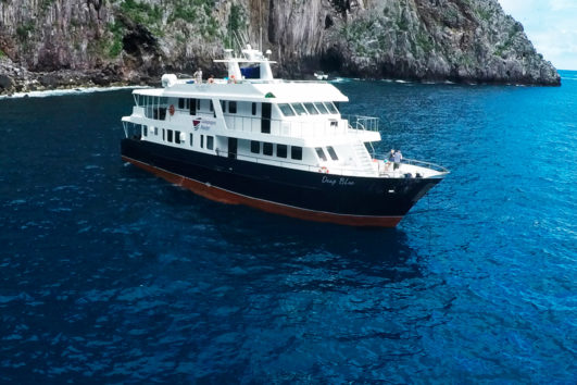 Calipso Galapagos Diving Cruise