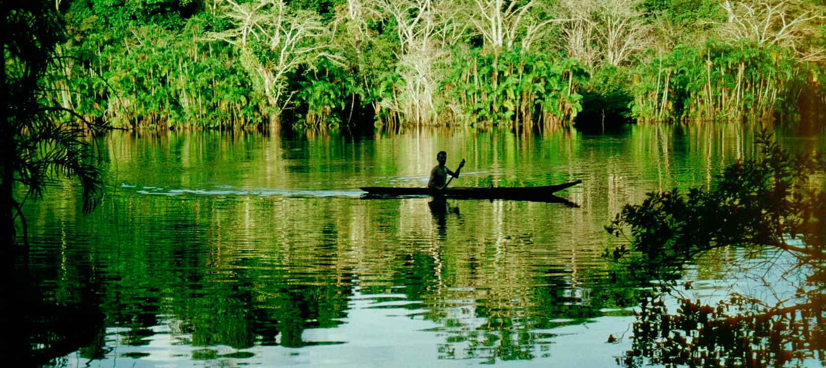 Aventura Y Comodidad En La Amazonia Ecuatoriana 4950