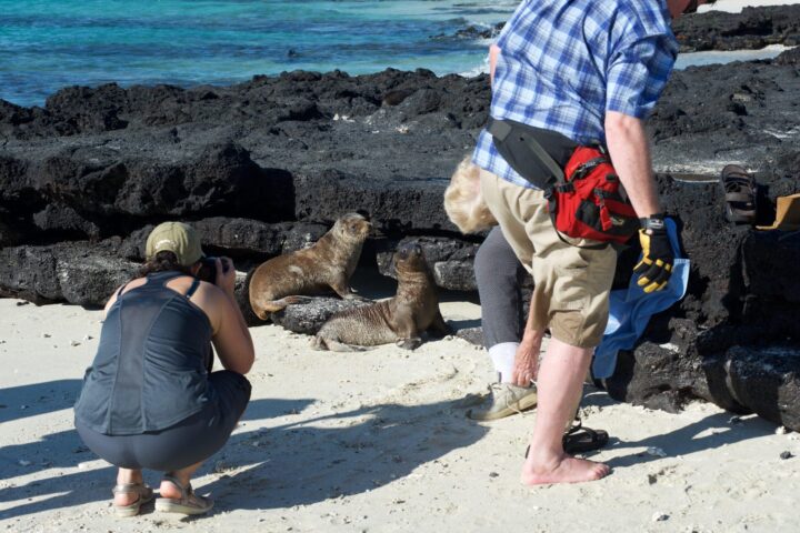 turistas con leones marinos en Isla Plazas Sur