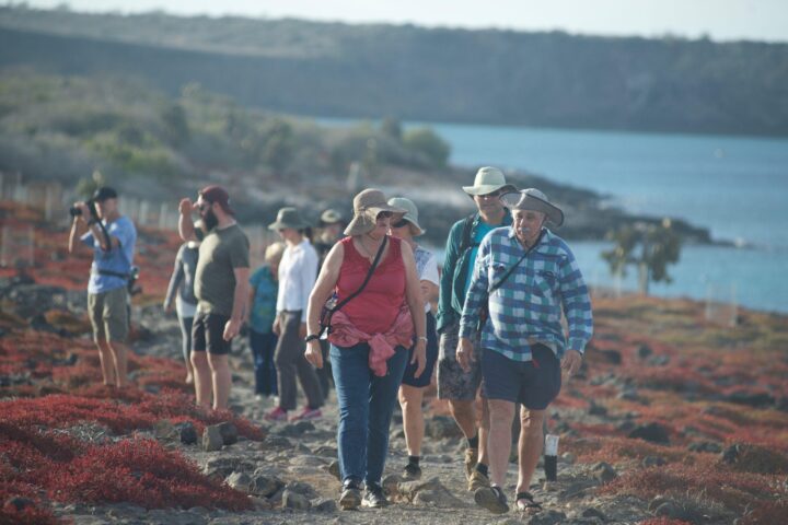 turistas en caminata tour Isla Plazas Sur