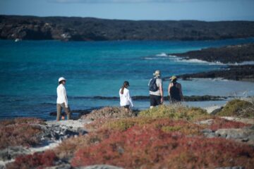 turitas caminando a orillas del mar en Isla Plazas Sur