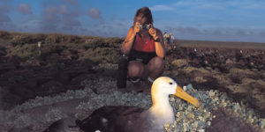 Aventure aux Galapagos Trip