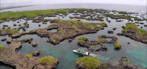 Tour îles Galapagos