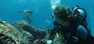 Plongée aux Galapagos