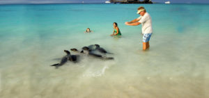 Vacanze Galapagos