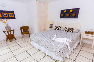Hotel Opuntia single room