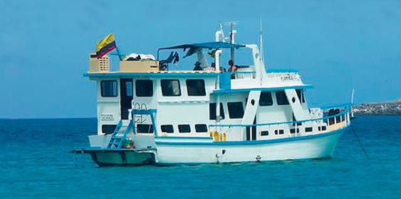 Galapagos Budget Cruises Banner