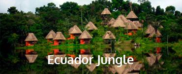 Ecuador Jungle