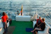 Floreana Galapagos Cruise - Sun Deck