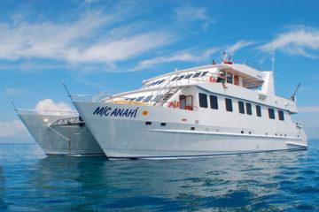 Anahi Galapagos Cruise