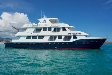 luxury catamaran galapagos