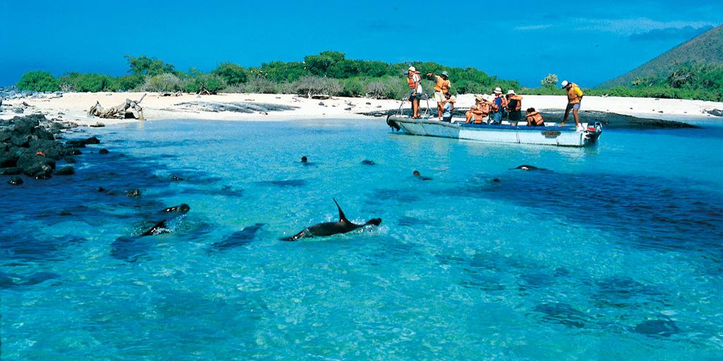 Best Time to Visit Galapagos Islands