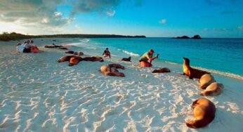 How to make your Galapagos trip a memorable one?