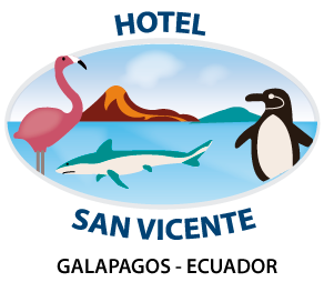 Logo Hotel San Vicente
