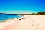 Carola Beach Galapagos - Tour View