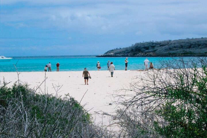 Ochoa Beach Galapagos - Tour View