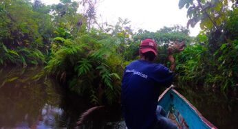 A trip to Misahualli | 3 Days Inside the Ecuadorian Amazon Jungle