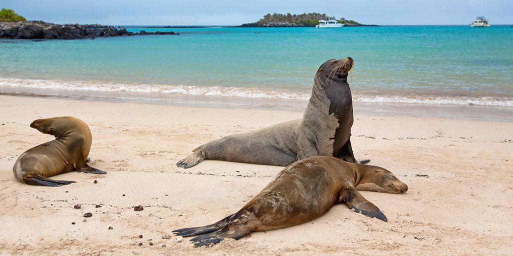 Galapagos Different Attractions
