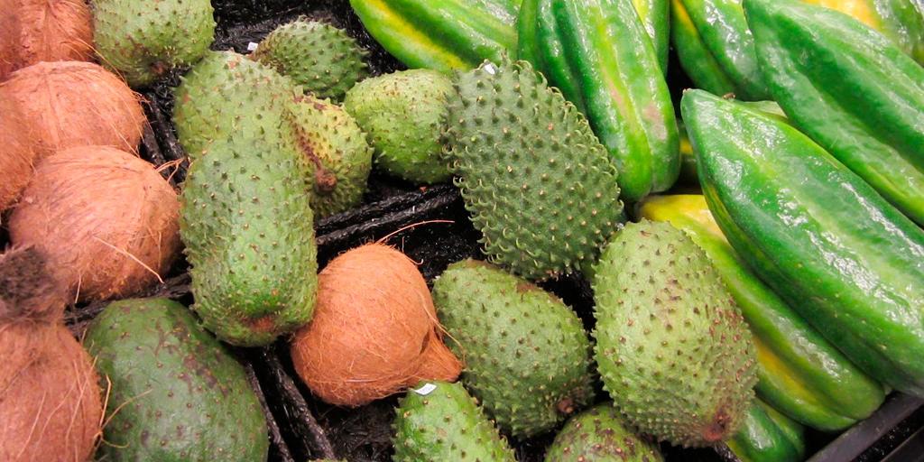 Galapagos Islands Fruits