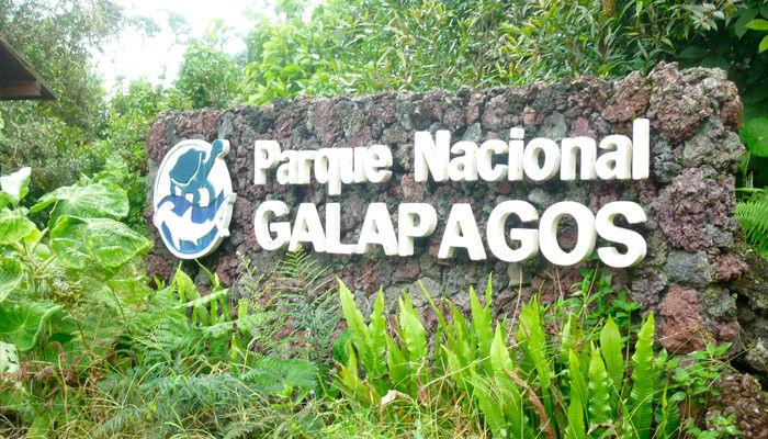 Galapagos Wildlife: National Park