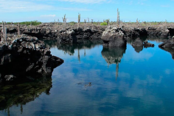 Cabo Rosa Galapagos Tour