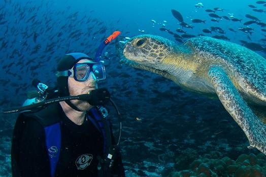 scuba diving in the galapagos