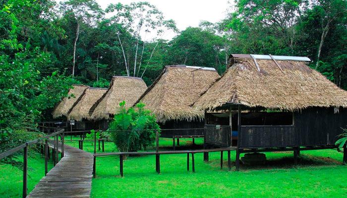 Ecuador Jungle: Cuyabeno River Lodge