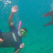 Ecuador Snorkeling Trip