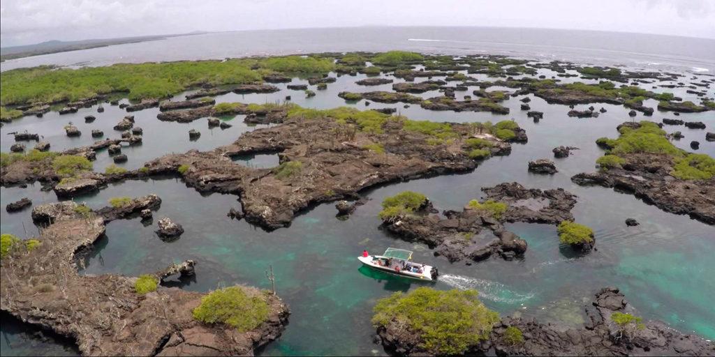 Galapagos Islands Vacations