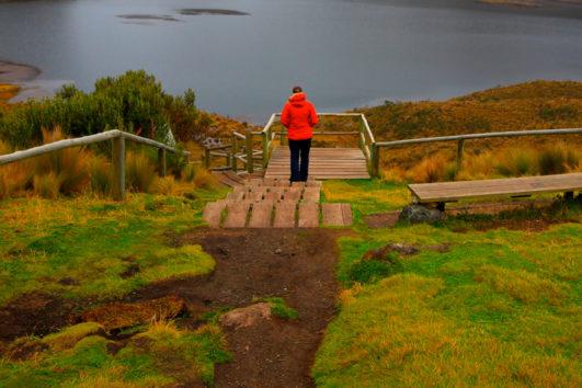 El Cajas National Park